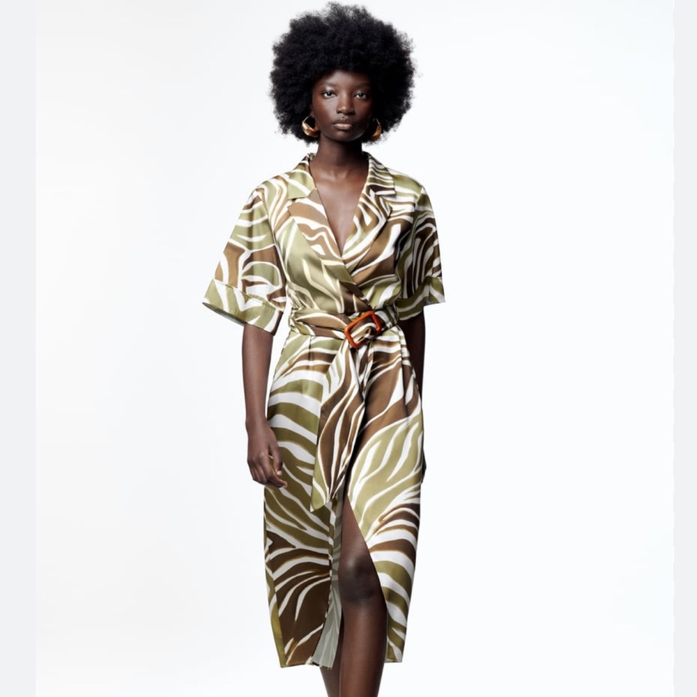 Zara Dress